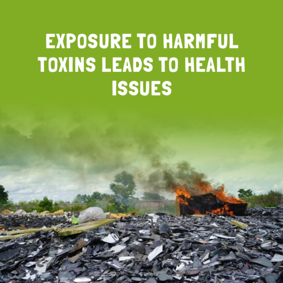 harmful toxins
