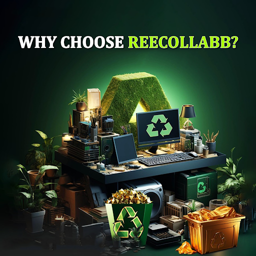 why choose reecollabb
